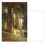 In the Redwoods, 1899 by Thomas Hill
