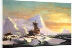 Crushed in the Ice by William Bradford