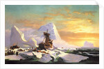 Crushed in the Ice by William Bradford
