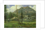 Sierra Nevada Mountains by Albert Bierstadt