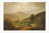 Bouquet Valley in the Adirondacks by William Trost Richards