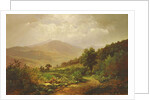Bouquet Valley in the Adirondacks by William Trost Richards