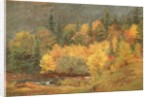 Autumn by the Brook, 1855 by Jasper Francis Cropsey