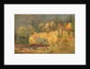 Autumn by the Brook, 1855 by Jasper Francis Cropsey