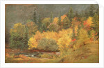 Autumn by the Brook, 1855 by Jasper Francis Cropsey