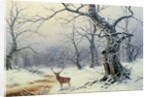 A Stag in a wooded landscape by Nils Hans Christiansen