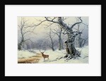 A Stag in a wooded landscape by Nils Hans Christiansen