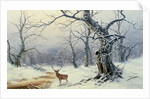 A Stag in a wooded landscape by Nils Hans Christiansen