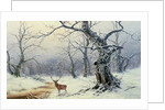 A Stag in a wooded landscape by Nils Hans Christiansen