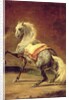 Dappled Grey Horse by Theodore Gericault
