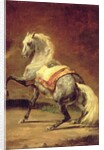 Dappled Grey Horse by Theodore Gericault