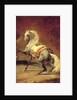 Dappled Grey Horse by Theodore Gericault