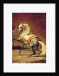 Dappled Grey Horse by Theodore Gericault