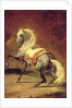 Dappled Grey Horse by Theodore Gericault