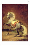 Dappled Grey Horse by Theodore Gericault