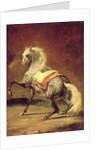 Dappled Grey Horse by Theodore Gericault