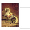 Dappled Grey Horse by Theodore Gericault
