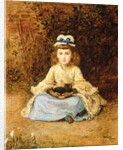 Early Days, 1873 by John Everett Millais