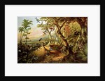 Exotic Birds and Insects Among Trees and Foliage in a Mountainous River Landscape by Philip Reinagle