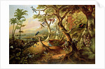 Exotic Birds and Insects Among Trees and Foliage in a Mountainous River Landscape by Philip Reinagle
