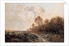 The edge of a wood by Theodore Rousseau