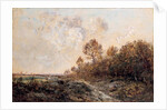 The edge of a wood by Theodore Rousseau