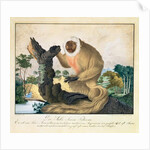 The Saki Monkey, 1835 by Aloys Zotl