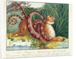 The Tiger and the Boa Constrictor, 1835 by Aloys Zotl