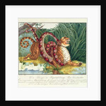 The Tiger and the Boa Constrictor, 1835 by Aloys Zotl