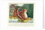 The Tiger and the Boa Constrictor, 1835 by Aloys Zotl