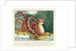 The Tiger and the Boa Constrictor, 1835 by Aloys Zotl