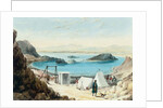 Aden Harbour by William Prinsep