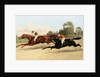 The Great ,000 Match - Entering the Last Furlong by Henry Stull