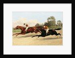 The Great ,000 Match - Entering the Last Furlong by Henry Stull