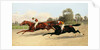 The Great ,000 Match - Entering the Last Furlong by Henry Stull