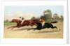 The Great ,000 Match - Entering the Last Furlong by Henry Stull