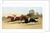 The Great ,000 Match - Entering the Last Furlong by Henry Stull