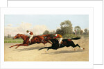 The Great ,000 Match - Entering the Last Furlong by Henry Stull