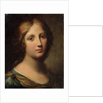 Portrait of a Young Woman by Onorio Marinari