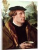 Portrait of a Gentleman by Maerten van Heemskerck