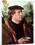 Portrait of a Gentleman by Maerten van Heemskerck