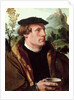 Portrait of a Gentleman by Maerten van Heemskerck