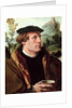 Portrait of a Gentleman by Maerten van Heemskerck