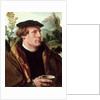 Portrait of a Gentleman by Maerten van Heemskerck