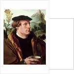 Portrait of a Gentleman by Maerten van Heemskerck