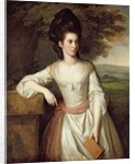 Portrait of Mrs. Vere by Nathaniel Dance