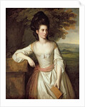 Portrait of Mrs. Vere by Nathaniel Dance