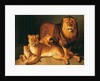 A Pride of Lions, 1801-02 by Jean-Baptiste Huet