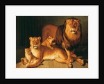 A Pride of Lions, 1801-02 by Jean-Baptiste Huet
