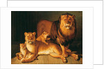 A Pride of Lions, 1801-02 by Jean-Baptiste Huet